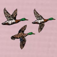 Duck Hunting Hunter 25L Jumbo Tote
