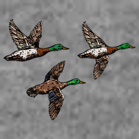 Duck Hunting Hunter Tall Sweatshirt
