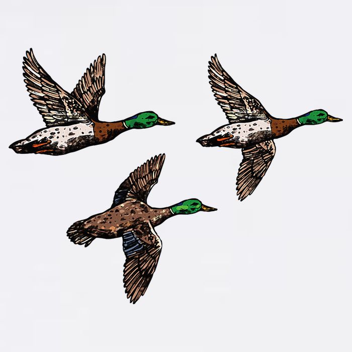 Duck Hunting Hunter Tall T-Shirt