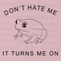 Don’T Hate Me It Turns Me On Funny Frog Meme 25L Jumbo Tote