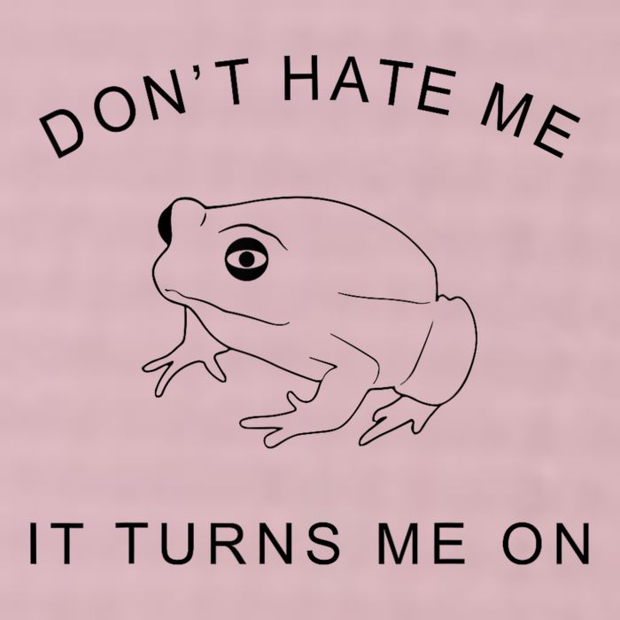 Don’T Hate Me It Turns Me On Funny Frog Meme 25L Jumbo Tote