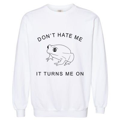 Don’T Hate Me It Turns Me On Funny Frog Meme Garment-Dyed Sweatshirt