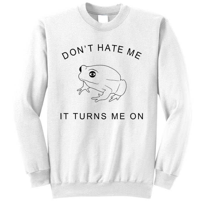 Don’T Hate Me It Turns Me On Funny Frog Meme Sweatshirt