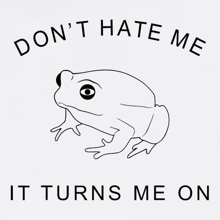 Don’T Hate Me It Turns Me On Funny Frog Meme Sustainable Bucket Hat