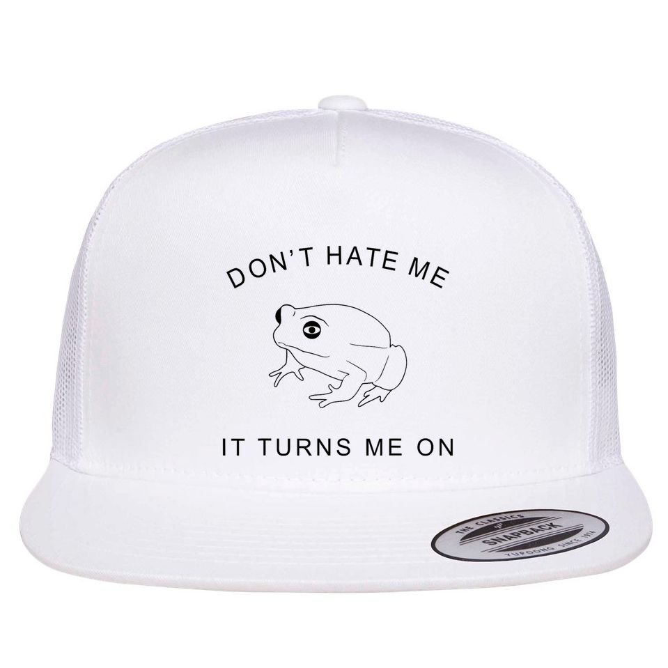 Don’T Hate Me It Turns Me On Funny Frog Meme Flatbill Hat