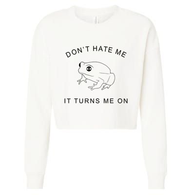 Don’T Hate Me It Turns Me On Funny Frog Meme Cropped Pullover Crew