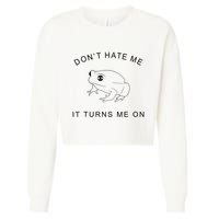 Don’T Hate Me It Turns Me On Funny Frog Meme Cropped Pullover Crew