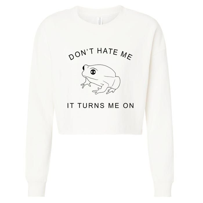 Don’T Hate Me It Turns Me On Funny Frog Meme Cropped Pullover Crew