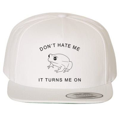 Don’T Hate Me It Turns Me On Funny Frog Meme Wool Snapback Cap