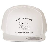 Don’T Hate Me It Turns Me On Funny Frog Meme Wool Snapback Cap