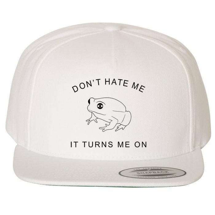 Don’T Hate Me It Turns Me On Funny Frog Meme Wool Snapback Cap