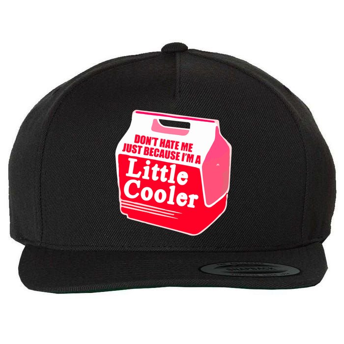 Don't Hate Me Because I'm A Little Cooler Wool Snapback Cap