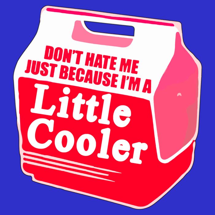 Don't Hate Me Because I'm A Little Cooler Button