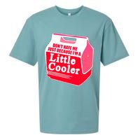 Don't Hate Me Because I'm A Little Cooler Sueded Cloud Jersey T-Shirt