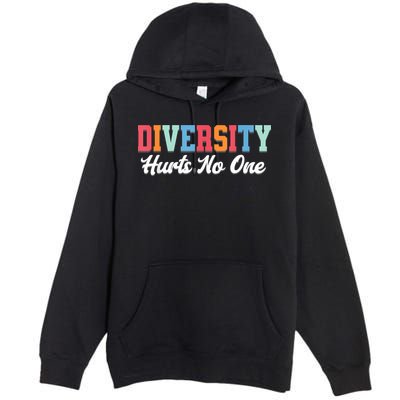 Diversity Hurts No One Lgbtq+ Gifts Human Rights Equality Premium Pullover Hoodie