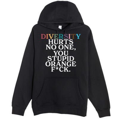 Diversity Hurts No One You Stupid Orange Fuck Gift Premium Pullover Hoodie