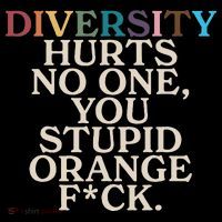 Diversity Hurts No One You Stupid Orange Fck Funny Slogan Tall T-Shirt