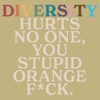 Diversity Hurts No One You Stupid Orange Fck Funny Slogan Cooling Performance Crew T-Shirt