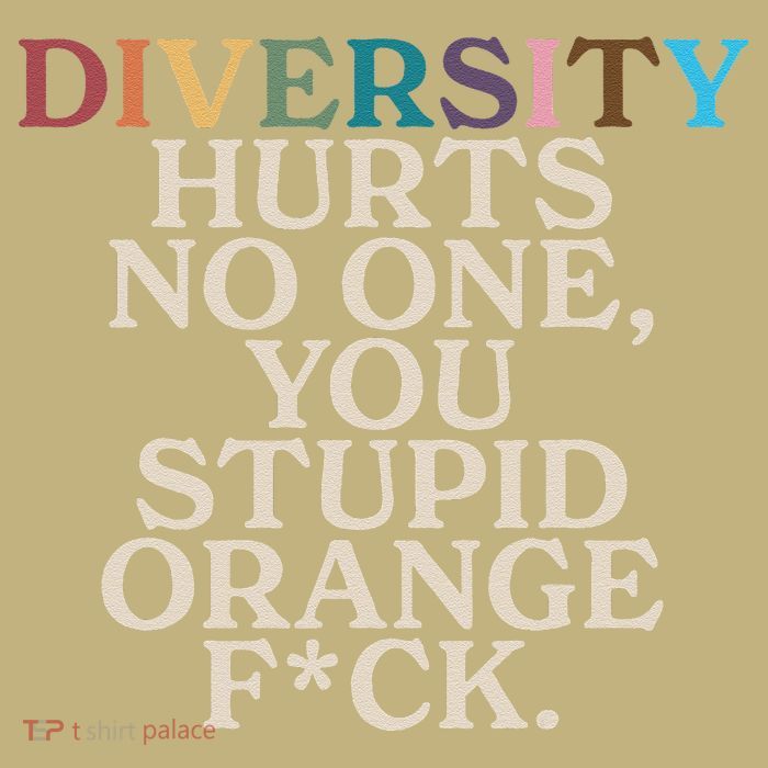 Diversity Hurts No One You Stupid Orange Fck Funny Slogan Button