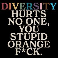 Diversity Hurts No One You Stupid Orange Fck Sustainable Bucket Hat