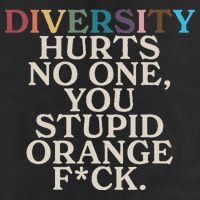Diversity Hurts No One You Stupid Orange Fck 15oz Campfire Ceramic Mug