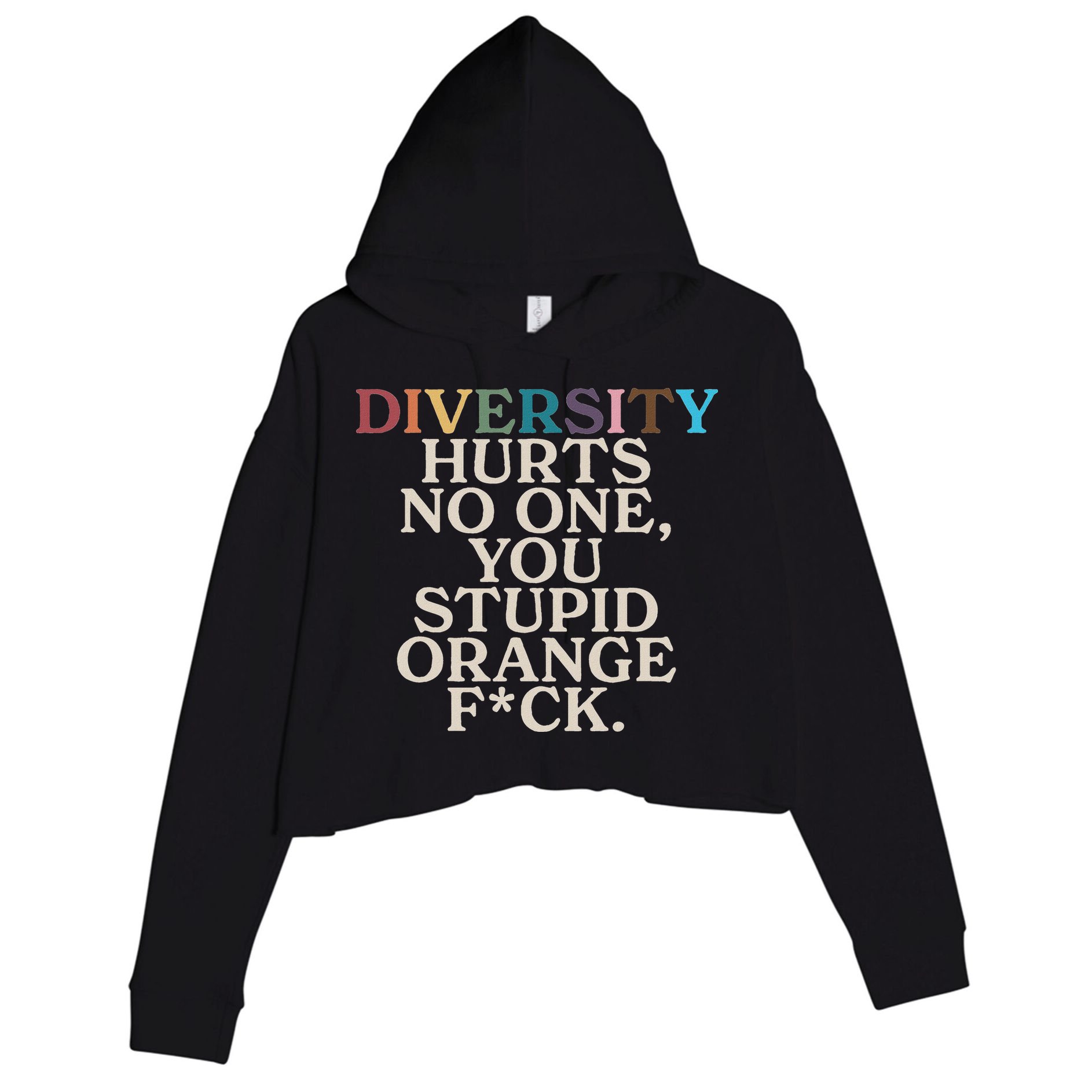 Diversity Hurts No One You Stupid Orange Fck Crop Fleece Hoodie
