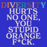 Diversity Hurts No One You Stupid Orange Fck Button