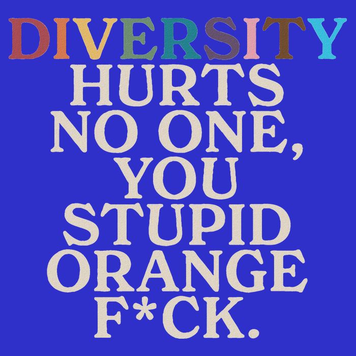Diversity Hurts No One You Stupid Orange Fck Button