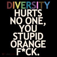 Diversity Hurts No One You Stupid Orange Fck Funny Slogan City Backpack
