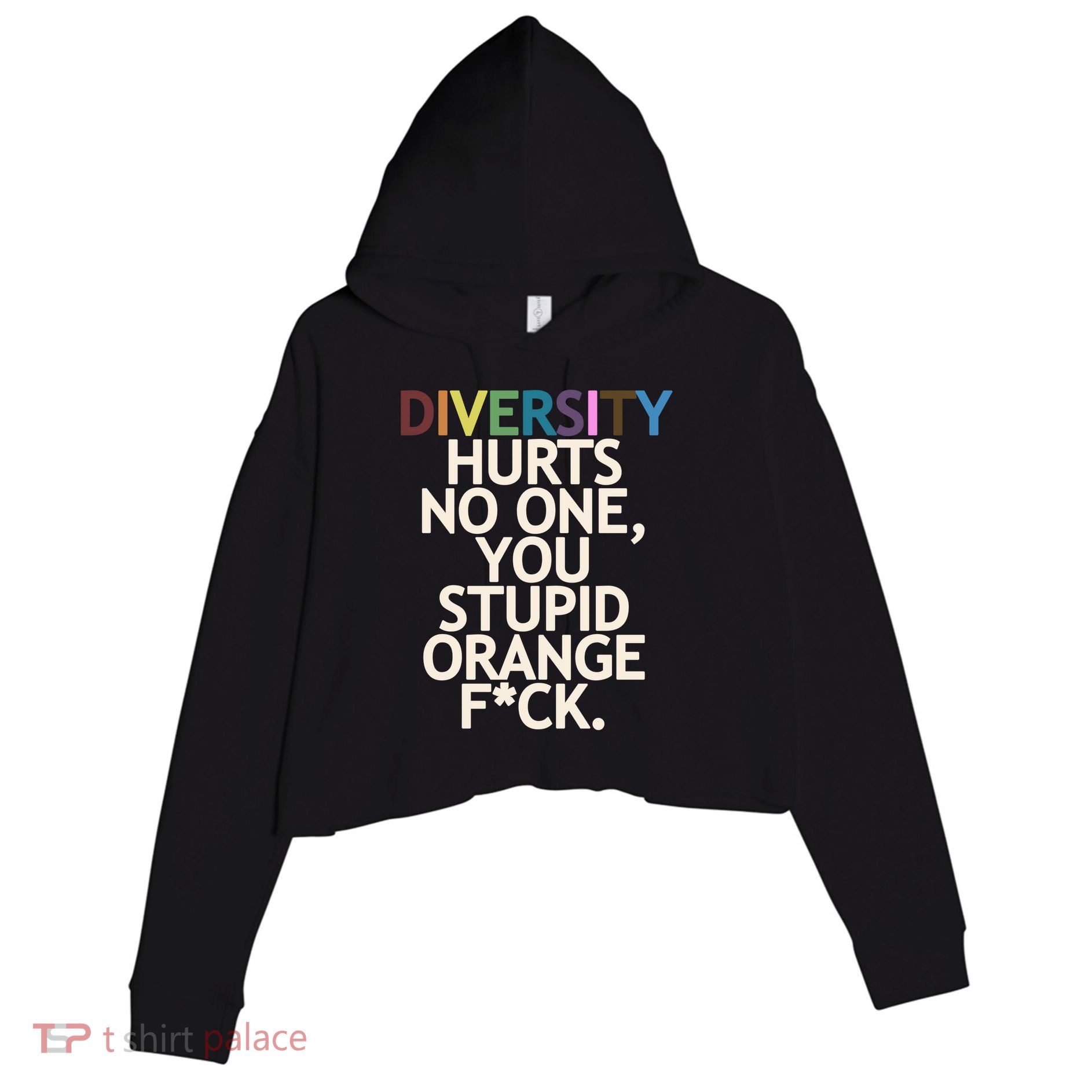Diversity Hurts No One You Stupid Orange Fck Funny Slogan Crop Fleece Hoodie