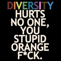 Diversity Hurts No One You Stupid Orange Fck Funny Slogan Ladies Long Sleeve Shirt
