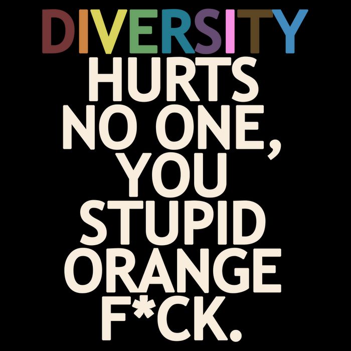 Diversity Hurts No One You Stupid Orange Fck Funny Slogan Ladies Long Sleeve Shirt