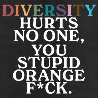 Diversity Hurts No One You Stupid Orange Fck Adult Drive Performance Visor