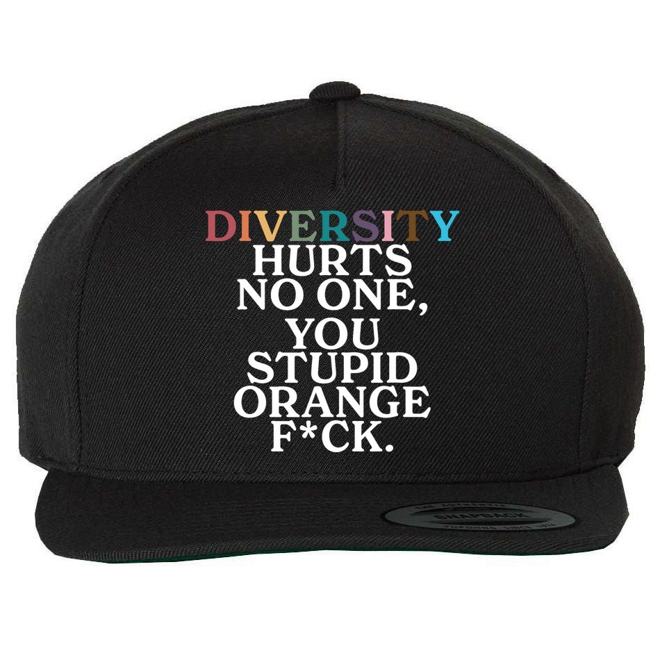 Diversity Hurts No One You Stupid Orange Fck Wool Snapback Cap