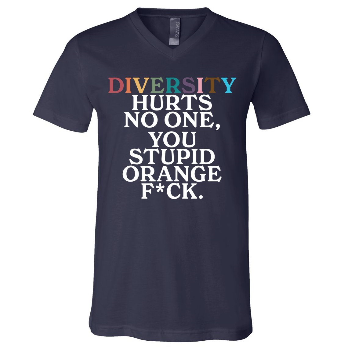 Diversity Hurts No One You Stupid Orange Fck V-Neck T-Shirt