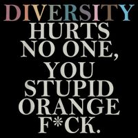 Diversity Hurts No One You Stupid Orange Fck Cooling Performance Crew T-Shirt