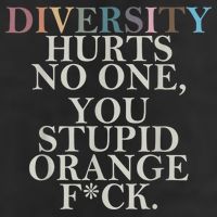 Diversity Hurts No One You Stupid Orange Fck Adult Drive Performance Visor