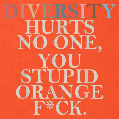 Diversity Hurts No One You Stupid Orange Fck T-Shirt
