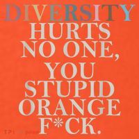 Diversity Hurts No One You Stupid Orange Fck Kids T-Shirt