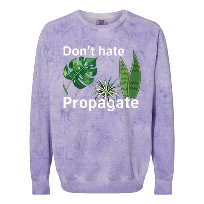 Dont Hate Propagate Monstera Sansevieria Dracaena Houseplant Colorblast Crewneck Sweatshirt