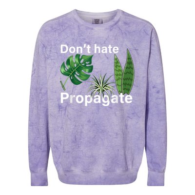 Dont Hate Propagate Monstera Sansevieria Dracaena Houseplant Colorblast Crewneck Sweatshirt