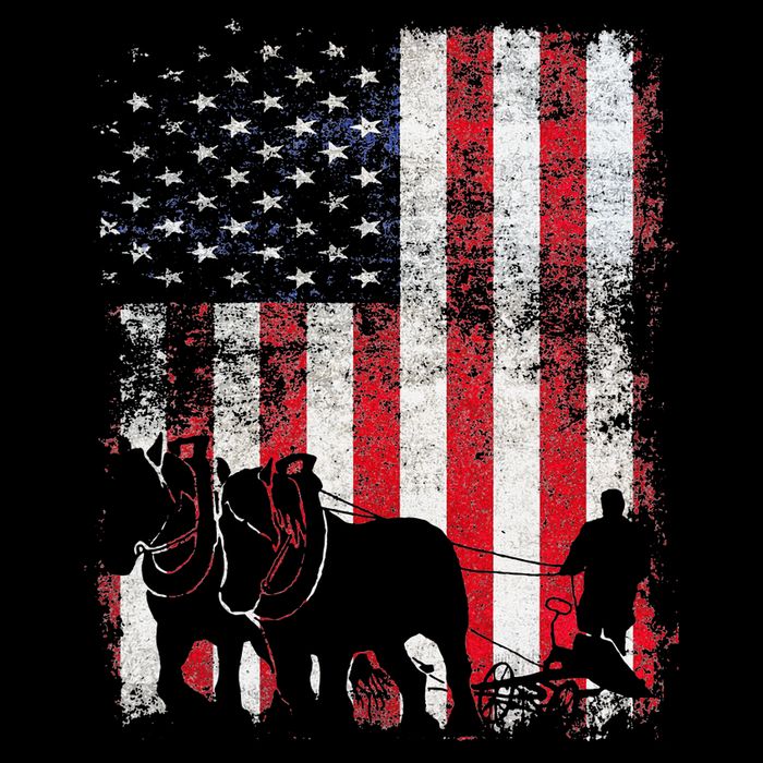 Draft Horse Patriotic American Flag Vintage Farmer Tank Top