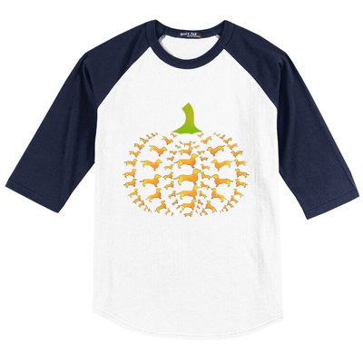 Dachshund Halloween Pumpkin Apple Animals Vegetables Friend Dog Baseball Sleeve Shirt