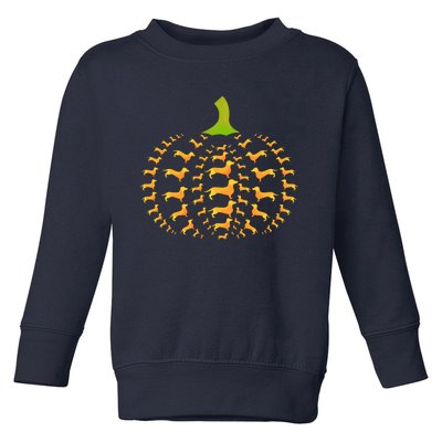 Dachshund Halloween Pumpkin Apple Animals Vegetables Friend Dog Toddler Sweatshirt