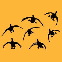 Duck Hunting Seven Drakes By Committed Waterfowl Pom Pom 12in Knit Beanie