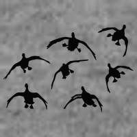 Duck Hunting Seven Drakes By Committed Waterfowl 7-Panel Snapback Hat