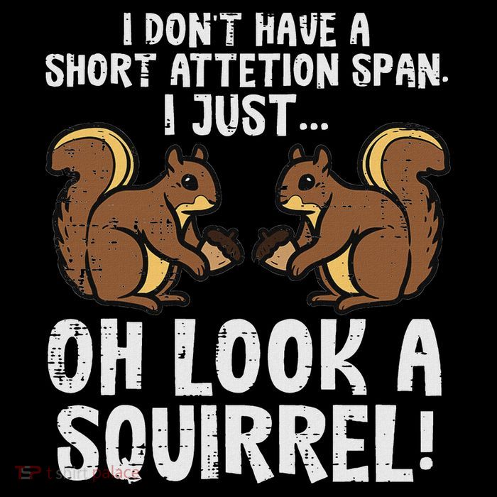Dont Have Short Attention Span Look Squirrel Toddler Hoodie
