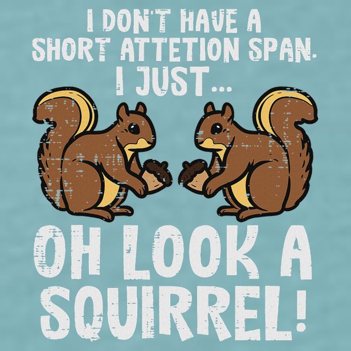 Dont Have Short Attention Span Look Squirrel Sueded Cloud Jersey T-Shirt