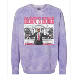 Daddys Home Vote Donald Trump 2024 Election Colorblast Crewneck Sweatshirt