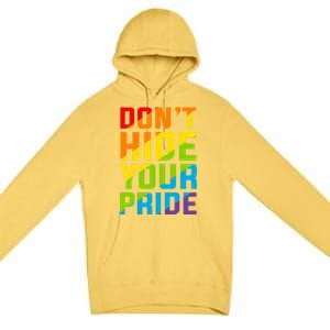 DonT Hide Your Pride Feminist Gift Funny Gift Premium Pullover Hoodie